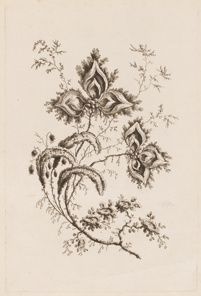 Flower Branch, från "Fleures Persannes" av Jean Baptiste Pillement