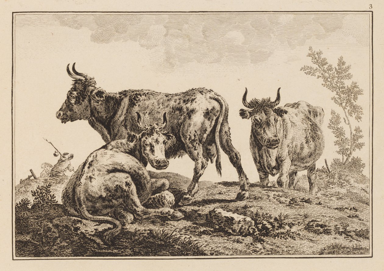 Plåt 3, från "Anteckningsbok med sex ark med oxar och kor" av Jean Baptiste Pillement