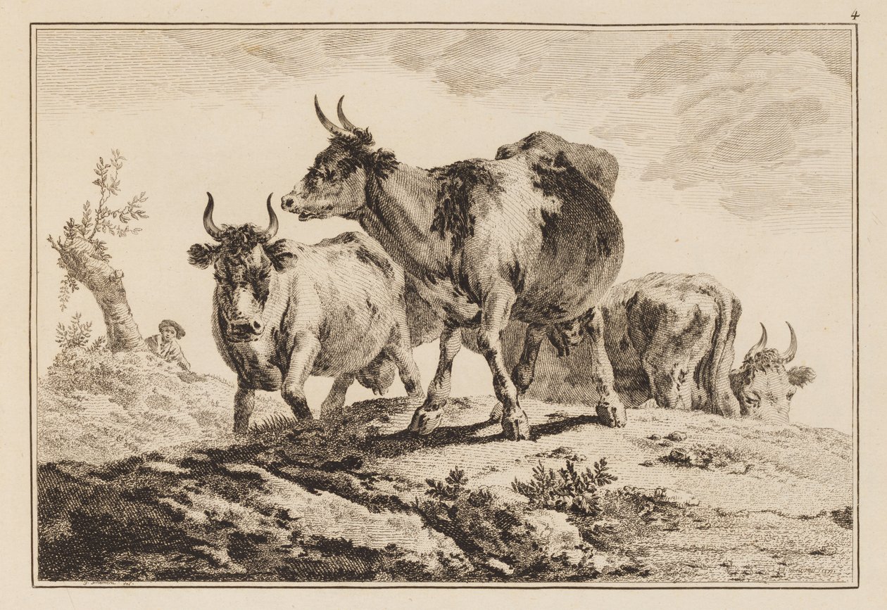 Plåt 4, från "Anteckningsbok med sex ark oxar och kor" av Jean Baptiste Pillement