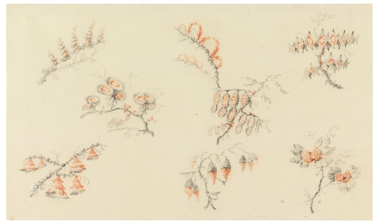 Sprayer av sju idealiska blommor och av en nästan naturalistisk blomma av Jean Baptiste Pillement