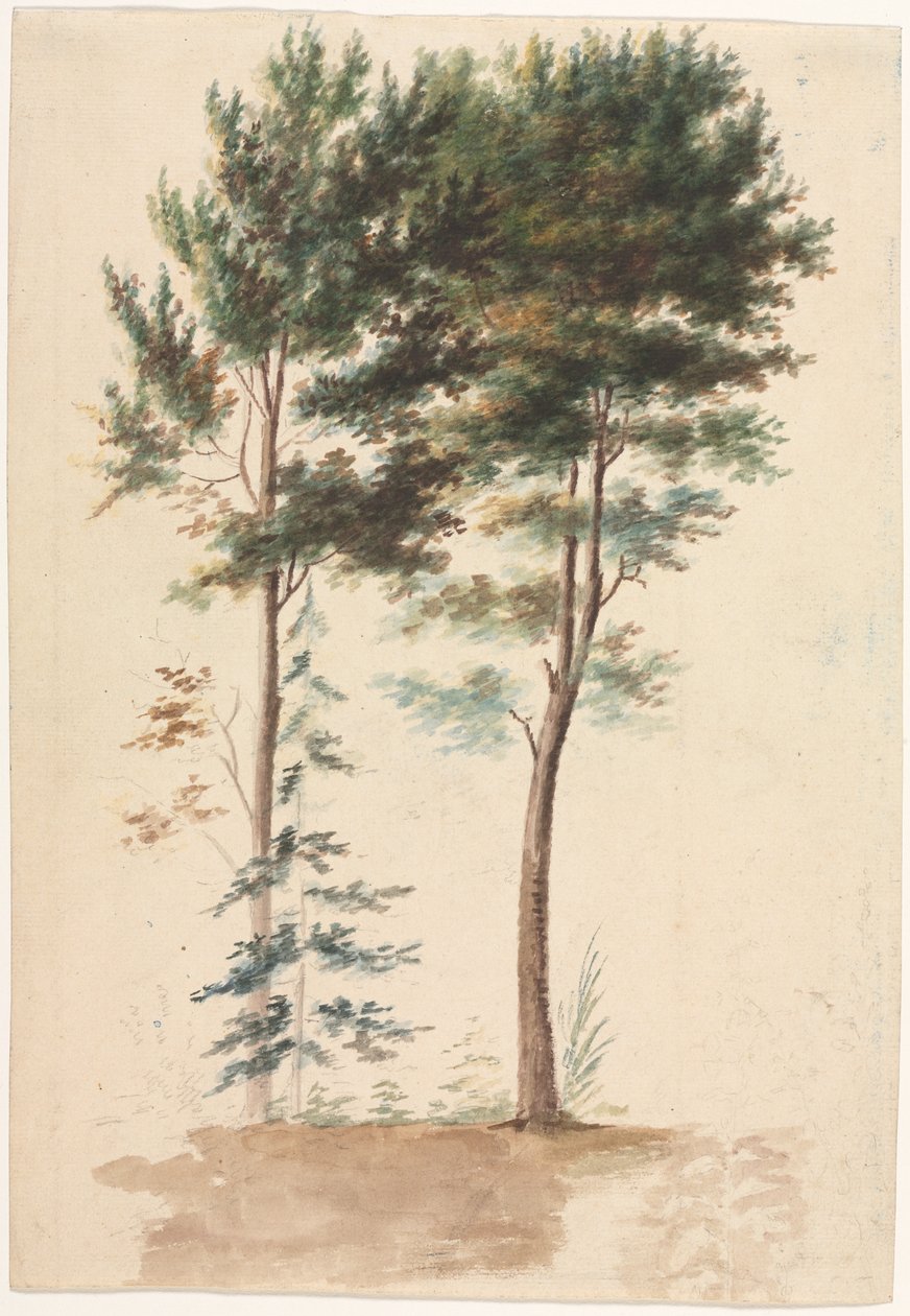 Träd av Jean Baptiste Pillement