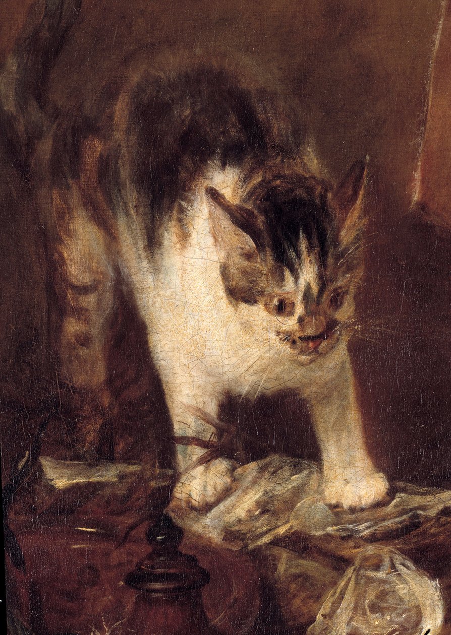 Stillebensskridsko av fisk, ostron, kanna. Kattdetalj. Målning av Jean Baptiste Simeon Chardin (1699-1779) 1727 Sön. 1,14 x 1,46 m Paris. Louvren av Jean Baptiste Simeon Chardin