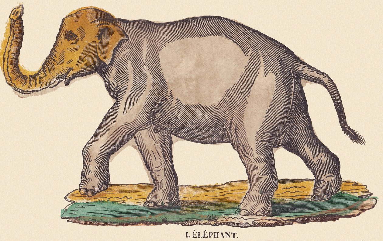 Elefanten, ca 1840-1852 (litografi) av Jean Baptiste Thiebault