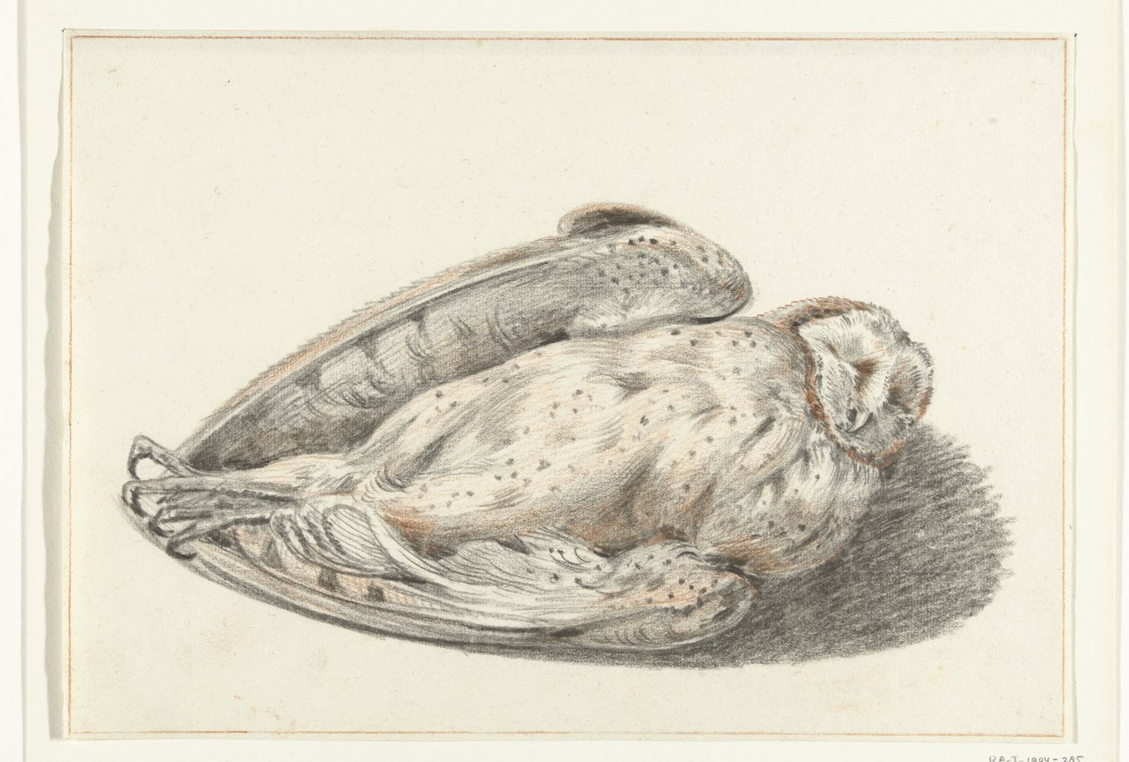 Död uggla av Jean Bernard