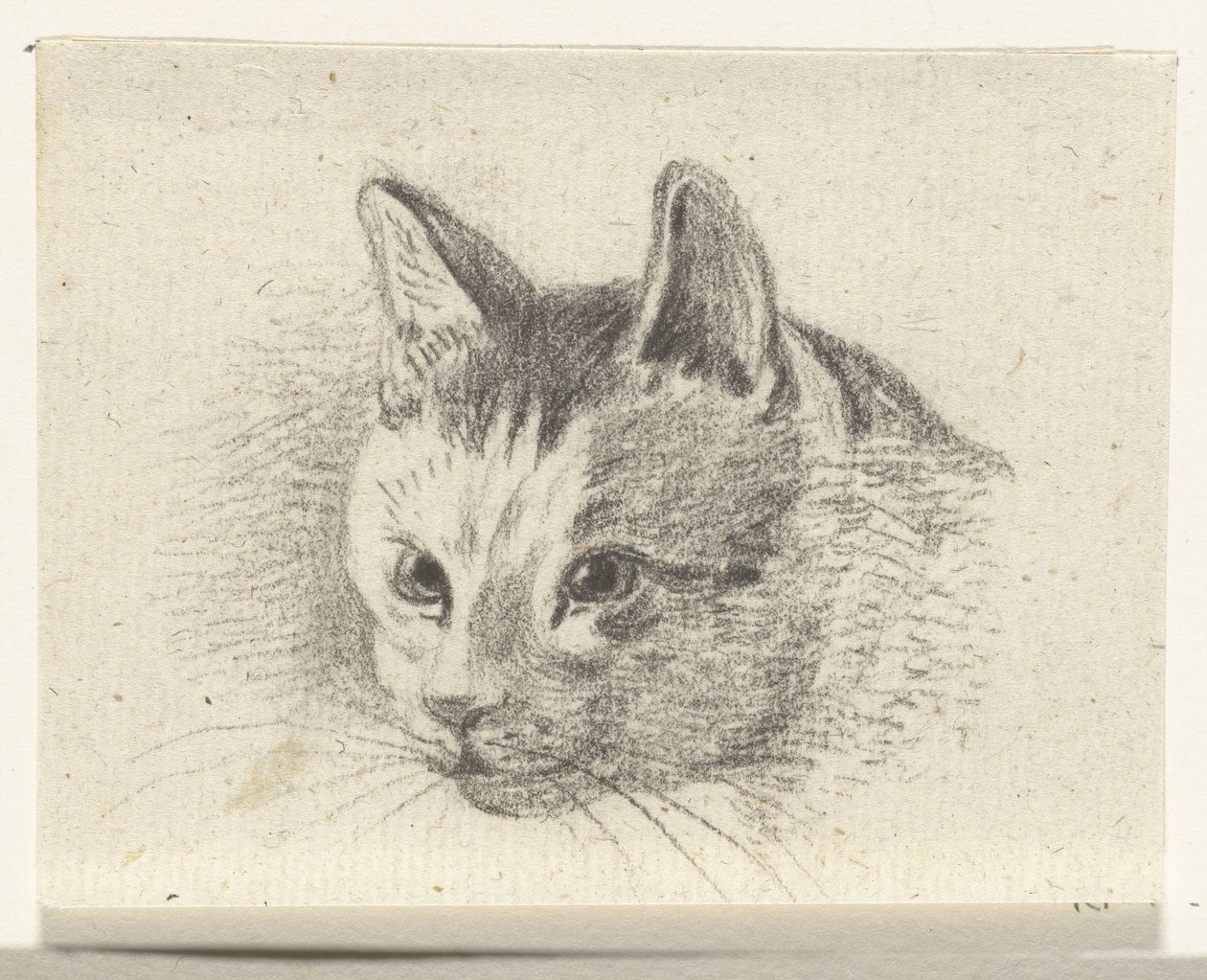 Huvudet på en katt av Jean Bernard