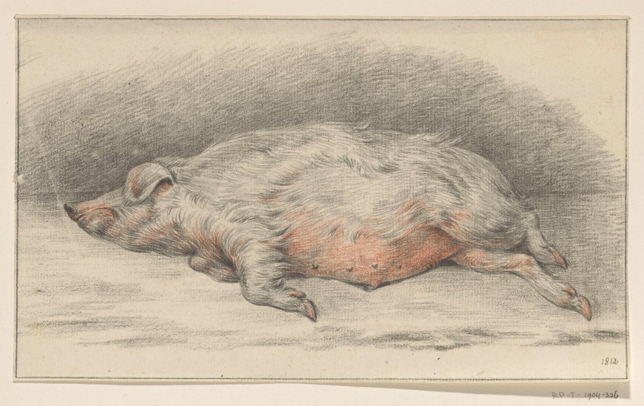 Liggande gris, till vänster av Jean Bernard