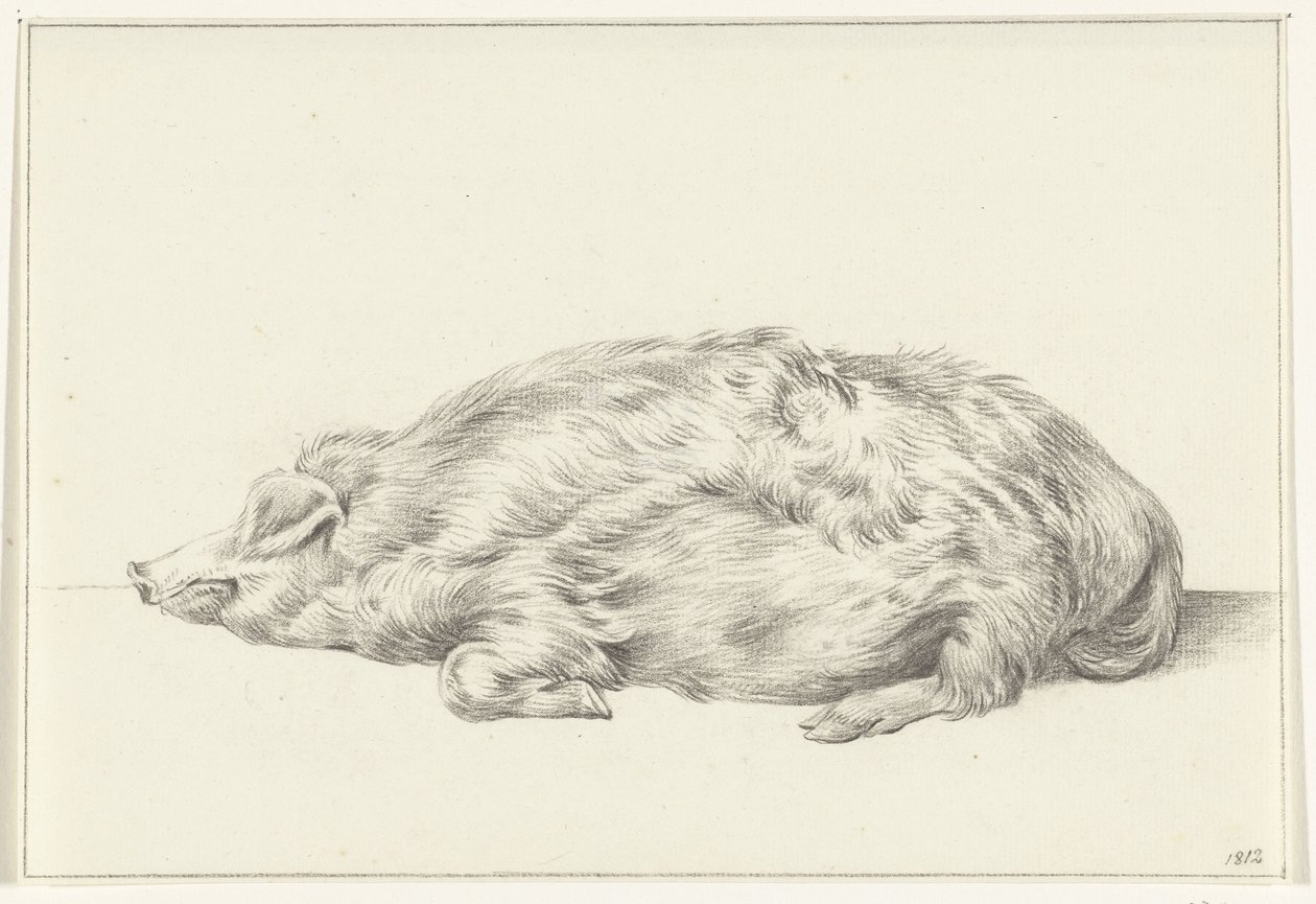 Liggande gris, till vänster av Jean Bernard