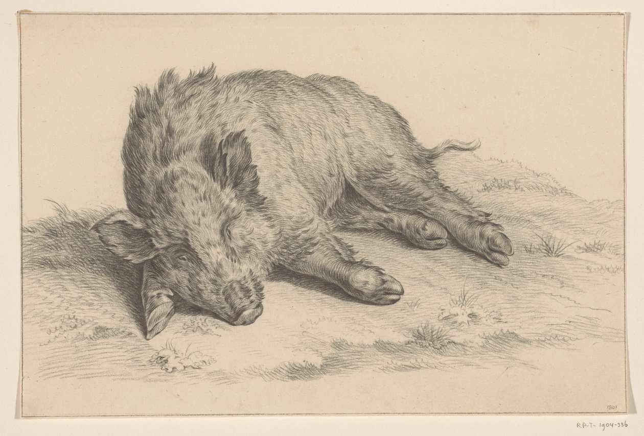 Liggande vildsvin av Jean Bernard