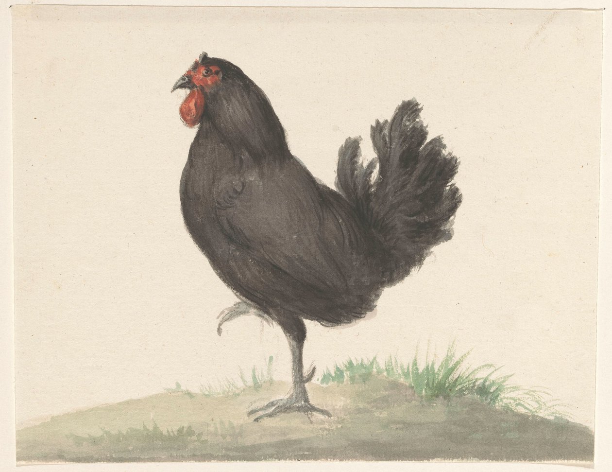Stående svart kyckling av Jean Bernard