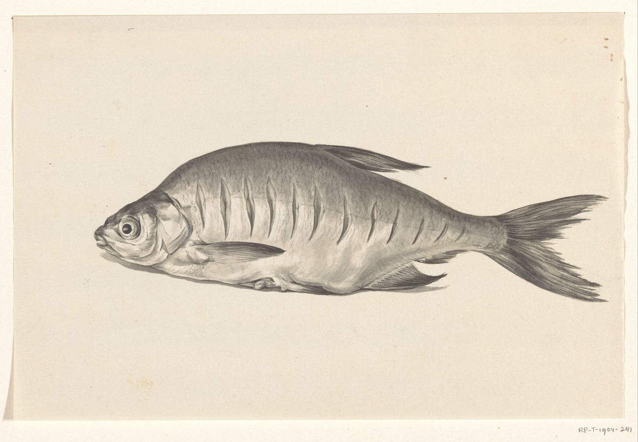 Fisk, liggande till vänster, med skåror av Jean Bernard