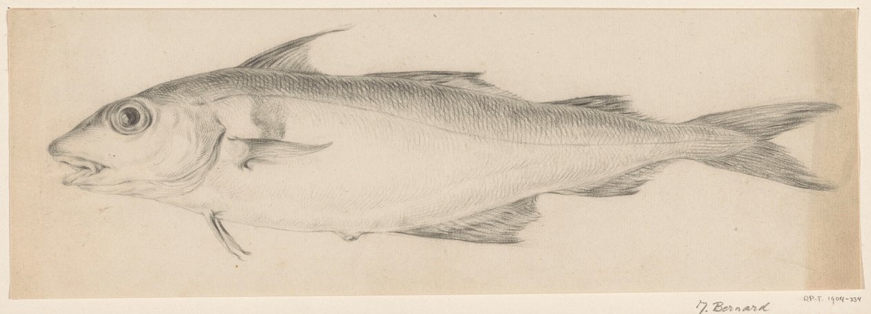 Fisk, till vänster av Jean Bernard