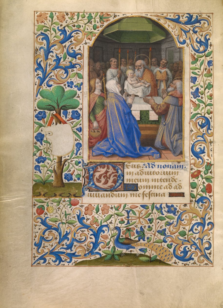 Die Darstellung im Tempel av Jean Bourdichon