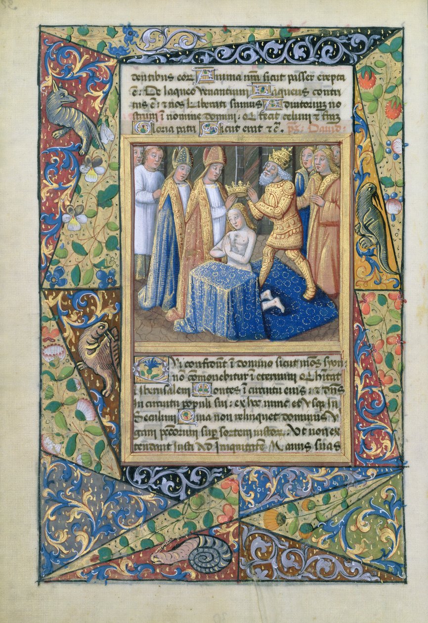 Ms Lat. Q.v.I.126 f.32v David kröns, från Louis d