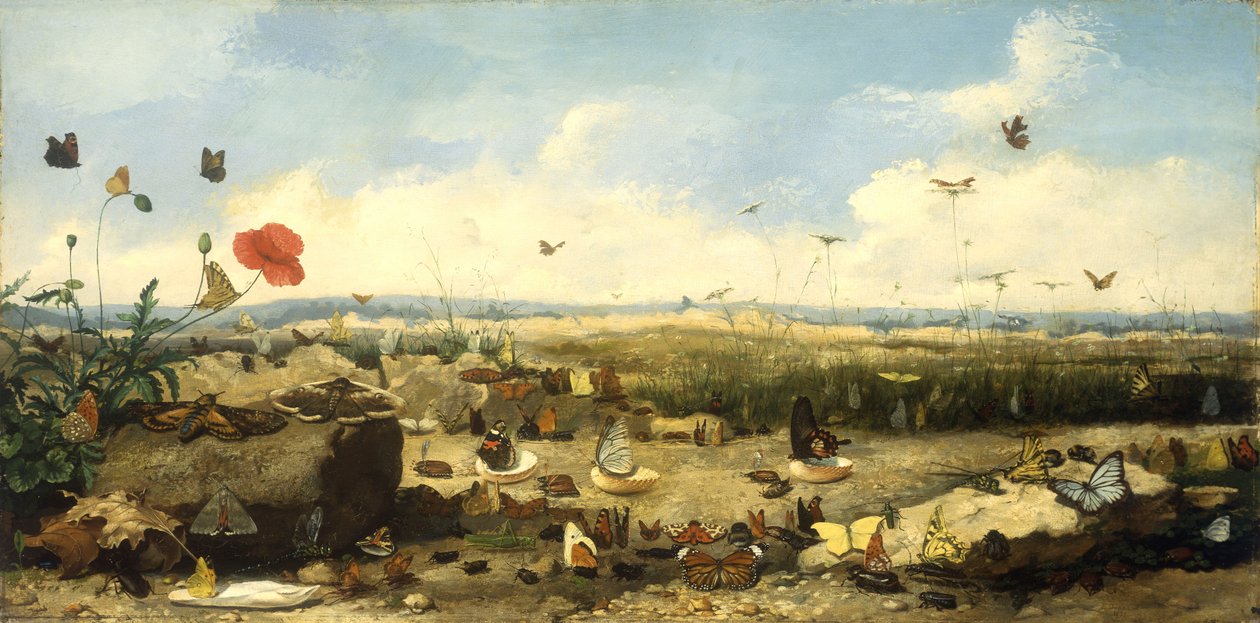 Fjärilarnas ras, 1872 av Jean Eugene Doneaud