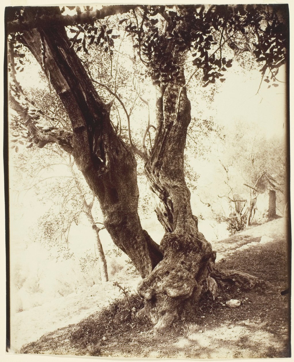  av Jean Eugène Auguste Atget