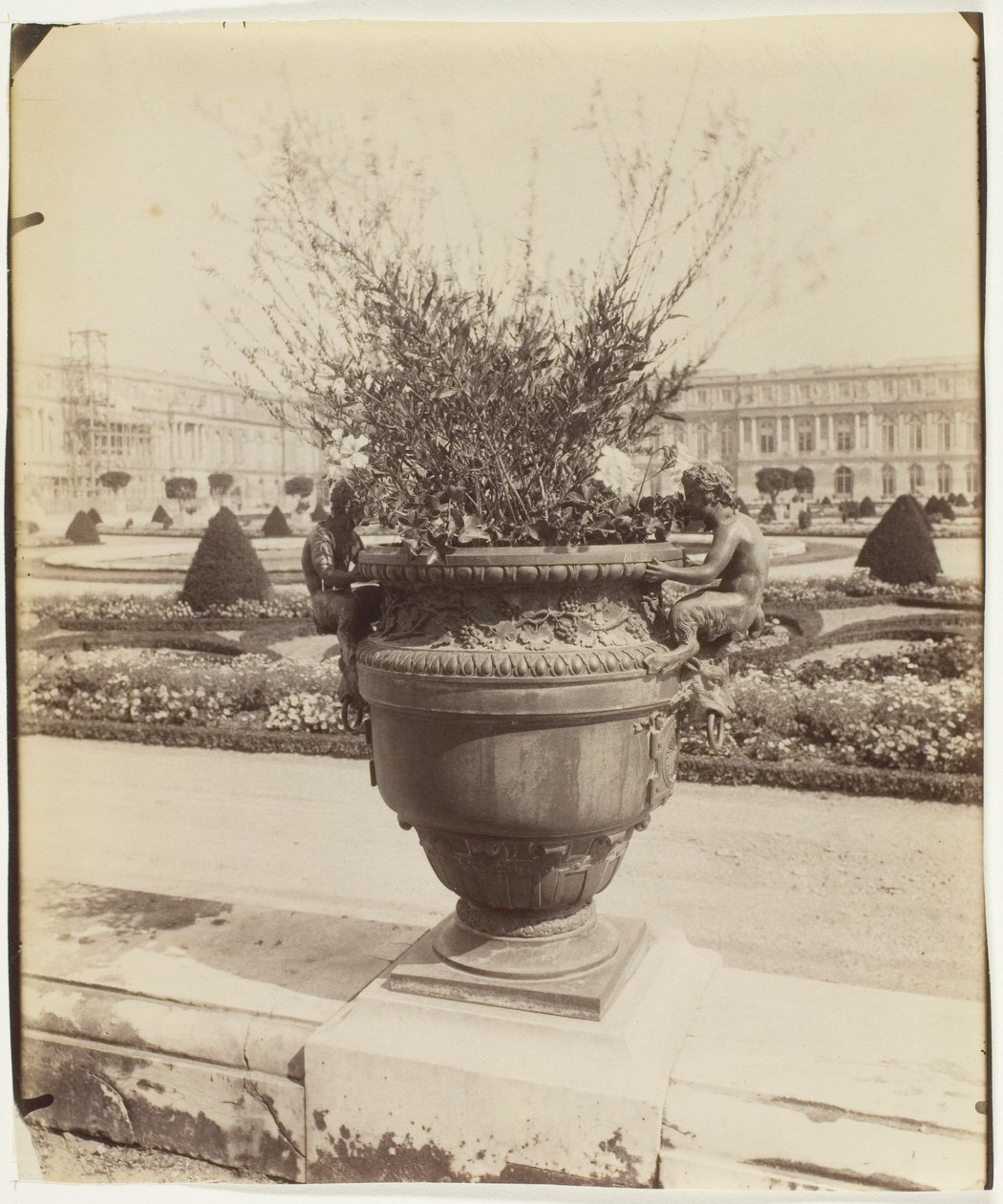 Versailles, vas från Ballin av Jean Eugène Auguste Atget