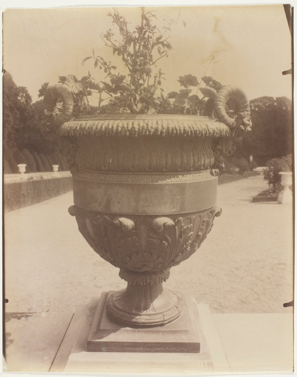 Versailles, vas från Ballin av Jean Eugène Auguste Atget
