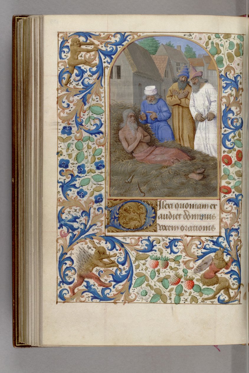 Job på dyngstackens timbok, 1450-1499 av Jean Fouquet
