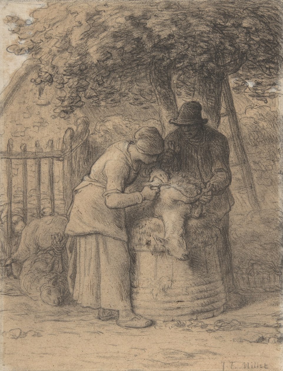 Sheepshearing Beneath a Tree, c.1854 (conté krita med penna och brunt bläck och gouache på papper) av Jean Francois Millet