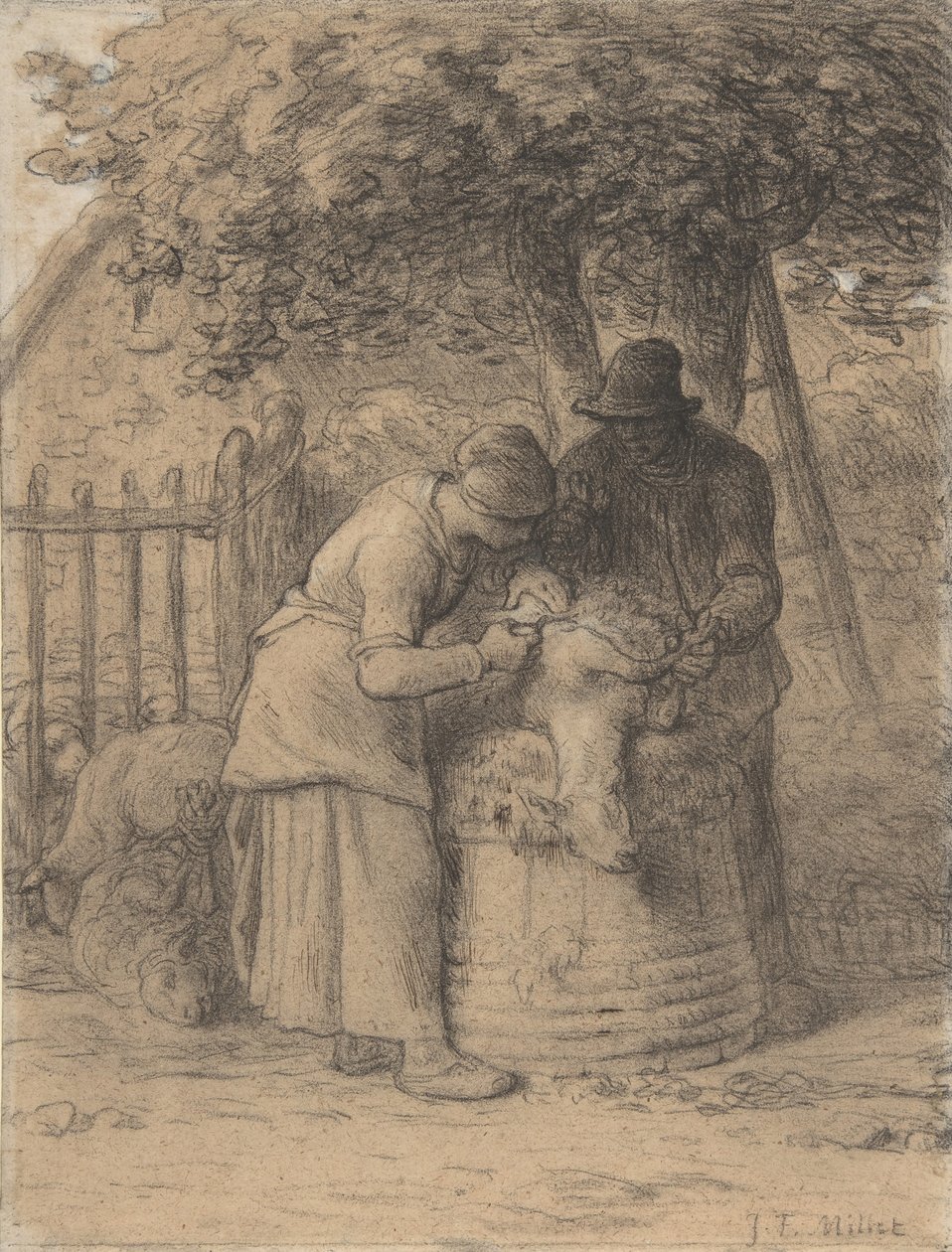 Fårklippning under ett träd, ca. 1854. av Jean-Francois Millet