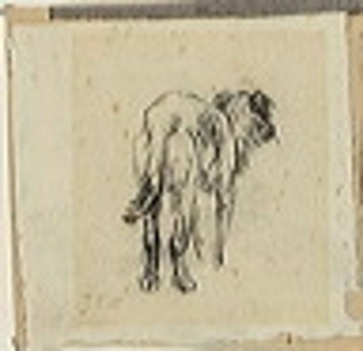 Studie av en hund av Jean Francois Millet