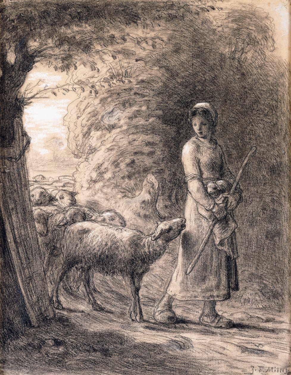 Det nyfödda lammet, ca 1860 av Jean Francois Millet