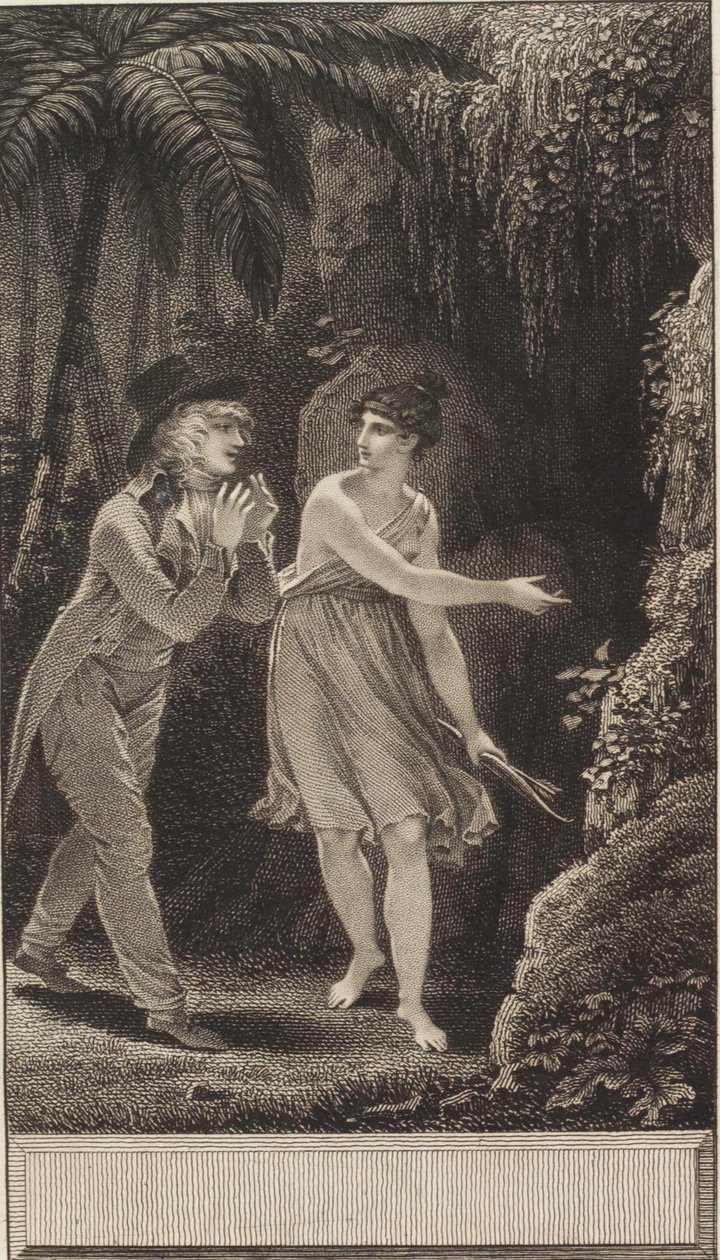 Indianstammen: ou, Edward och Stellina av Jean Godefroy