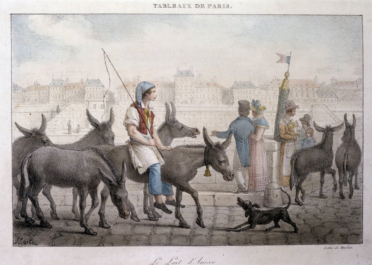 Tidigare gatuhandel i Paris: köpman av åsnemjölk (Ane dans Paris) - Gravyr av Jean Henry Marlet (1771-1847) i "" Les Tableaux de Paris", serie med 72 tryck, slutet av 1800-talet av Jean Henri Marlet
