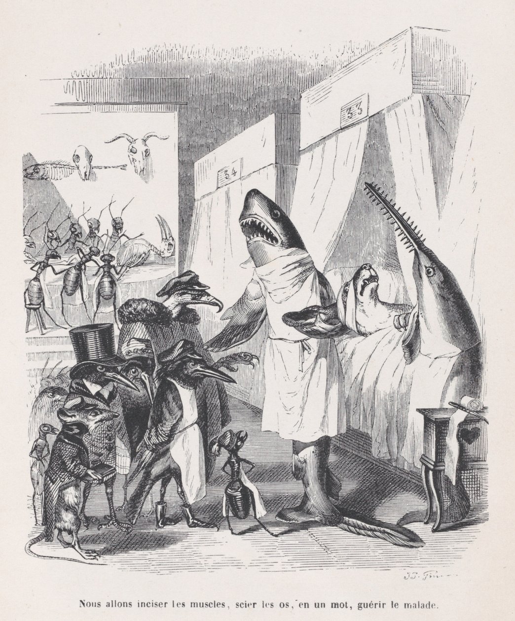 Vi ska snitta musklerna, såga benen, med ett ord, läka sjuka från Sc..., ca. 1837-47. av Jean Ignace Isidore Gérard