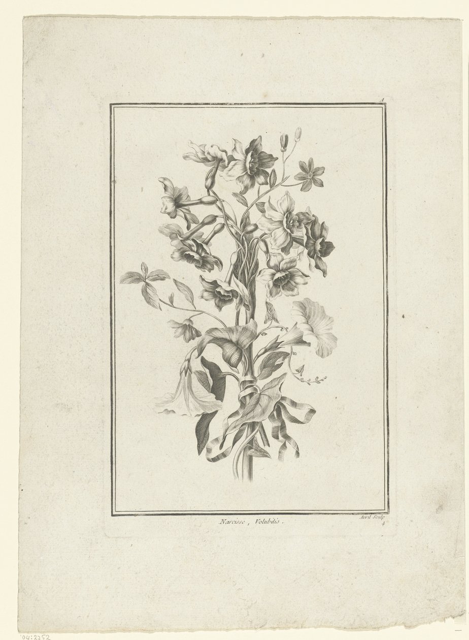 Bukett av påsklilja och bindweed Narcissus, Volubilis (titel på objekt) IIe Cahier de Bouquets (serietitel) av Jean Jacques Avril (I)
