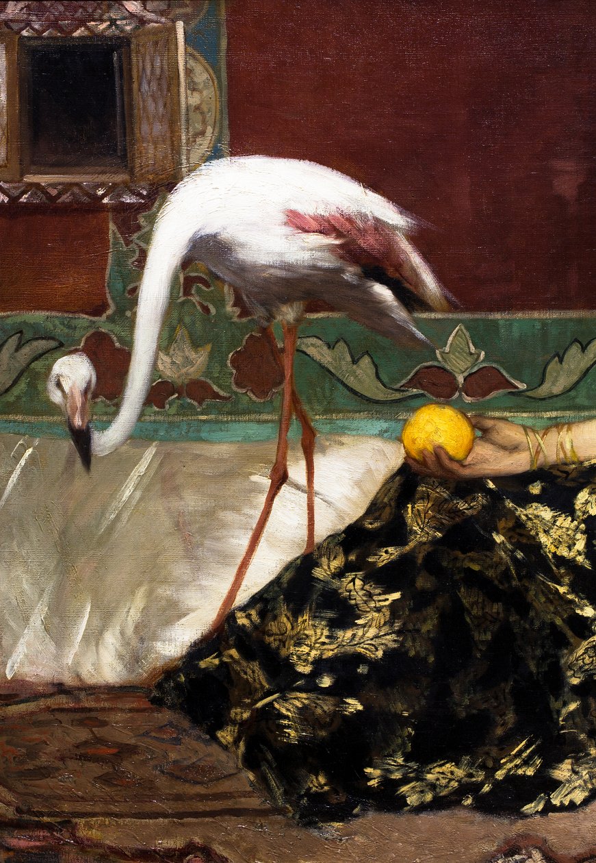 Den rosa flamingon (detalj) av Jean Joseph Benjamin Constant