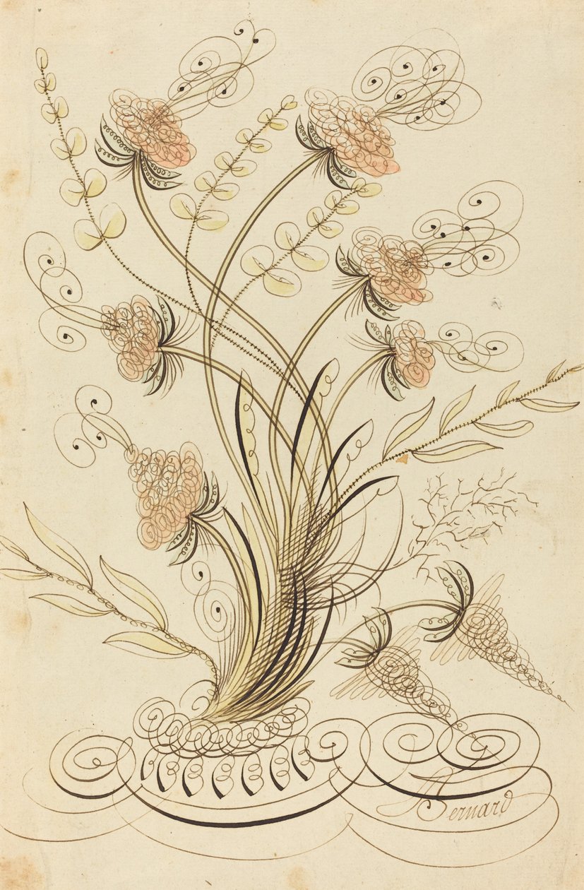 Kalligrafiska blommor av Jean Joseph Bernard called Bernard de Paris