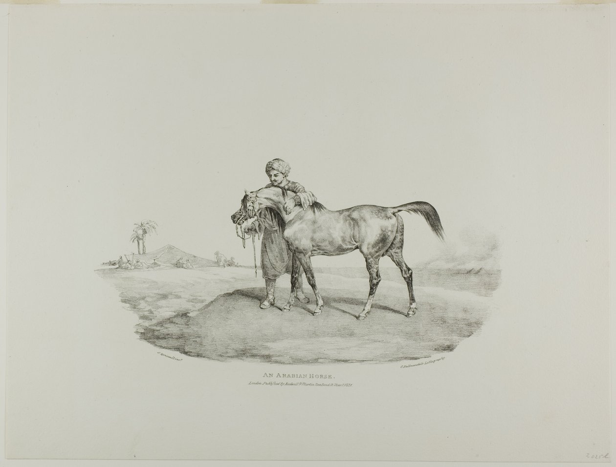 En arabhäst, plansch 8 ur Olika motiv tecknade ur livet och på sten (Den engelska sviten) av Jean Louis André Théodore Géricault