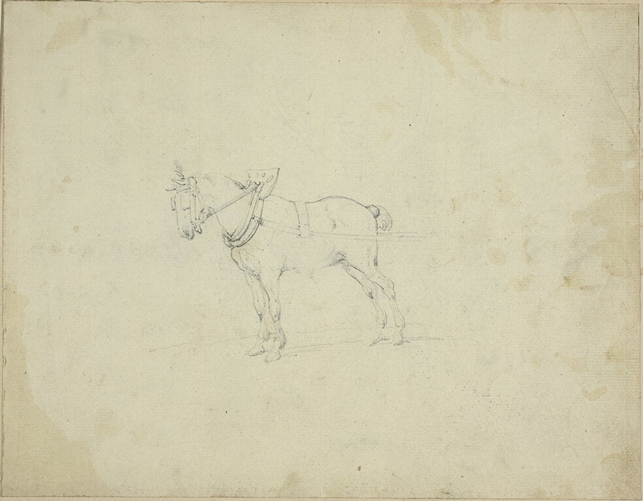 Draghäst av Jean Louis André Théodore Géricault