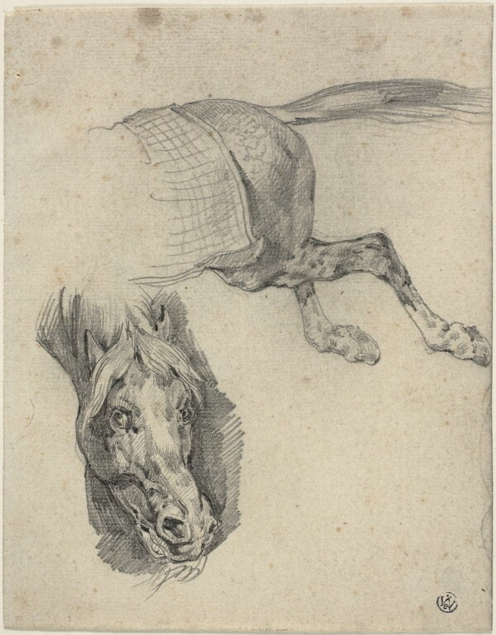 Huvud och bakdel på en kapplöpningshäst av Jean Louis André Théodore Géricault