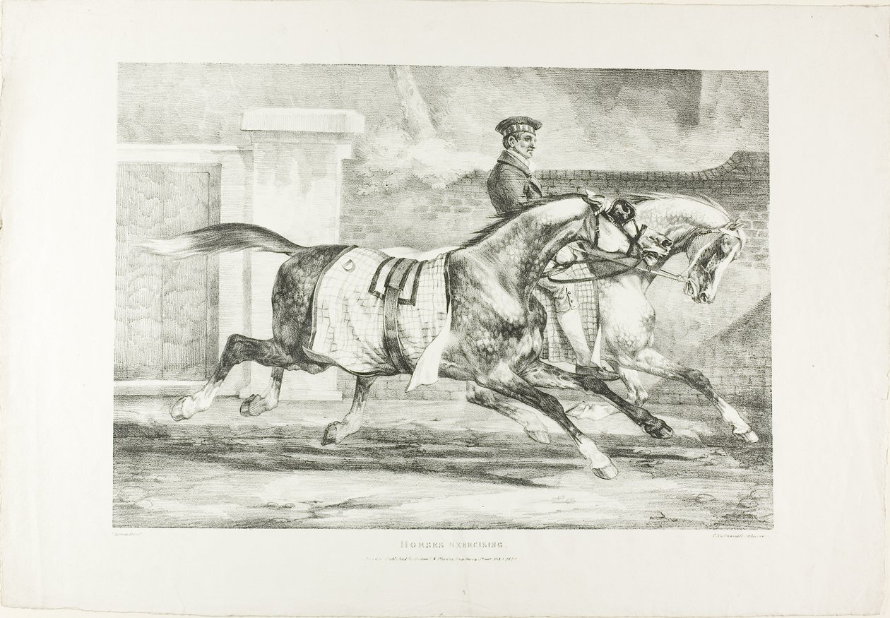 Hästar i träning, plansch 6 från Olika motiv tecknade efter livet på sten av Jean Louis André Théodore Géricault
