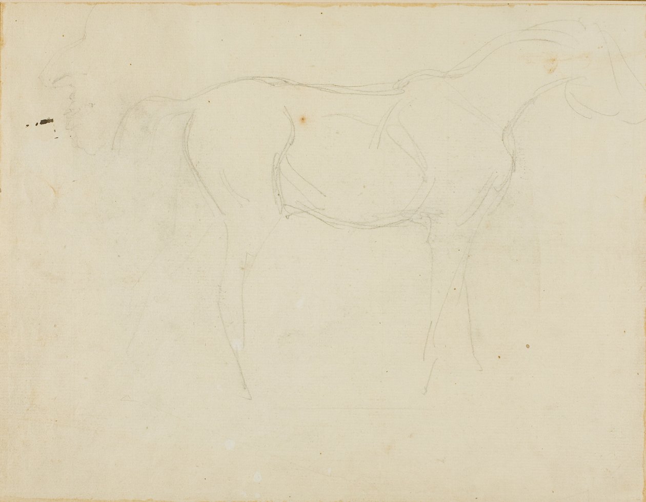 Skiss av en häst vänd åt höger och en karikatyr i profil av Jean Louis André Théodore Géricault