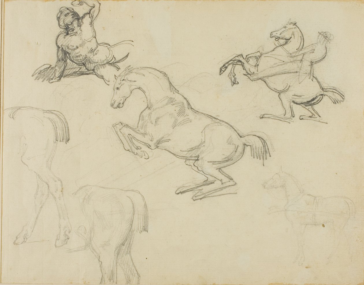 Skisser: Liggande naken, en ryttare och olika hästar av Jean Louis André Théodore Géricault