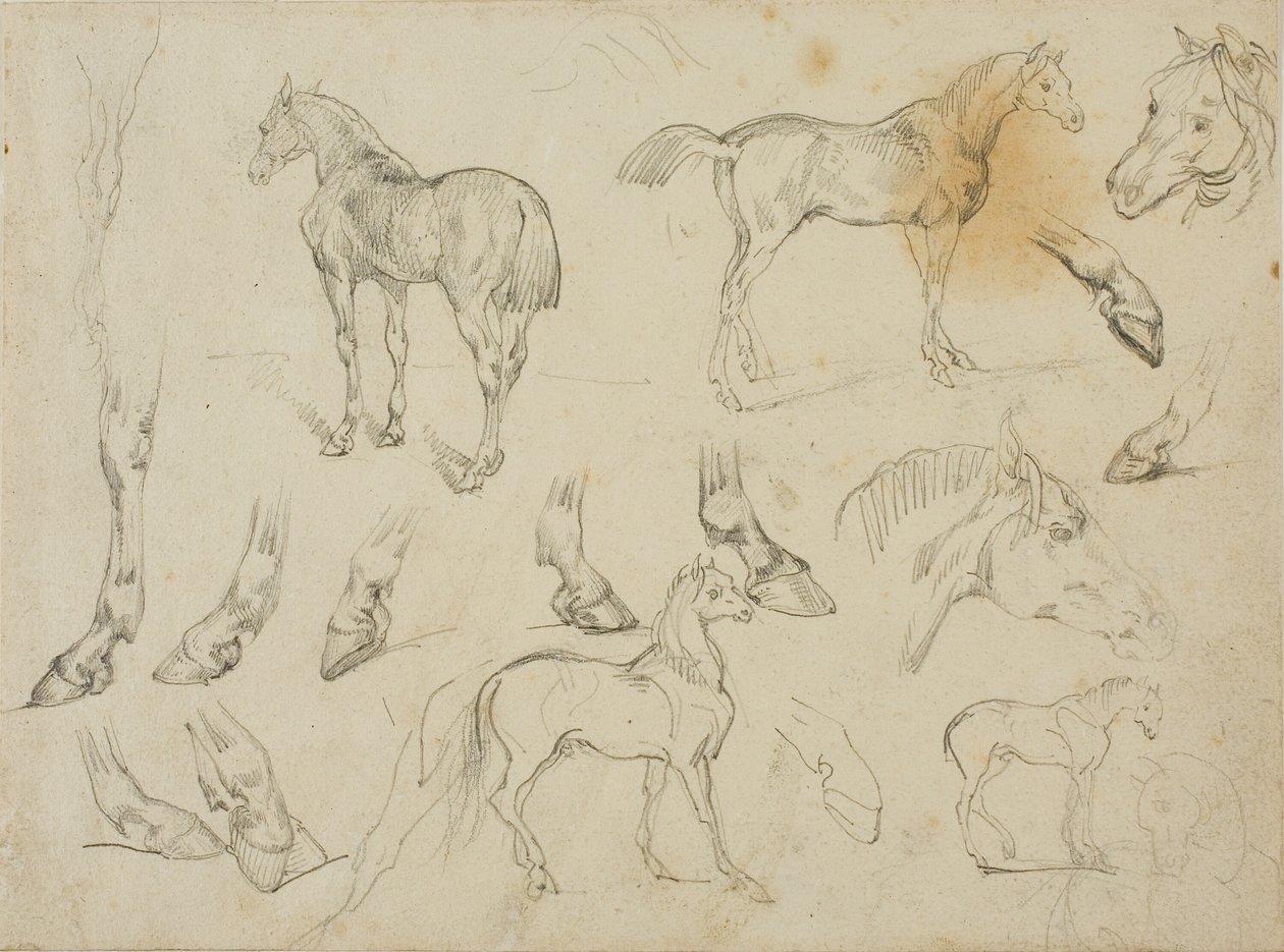 Skisser av en häst av Jean Louis André Théodore Géricault