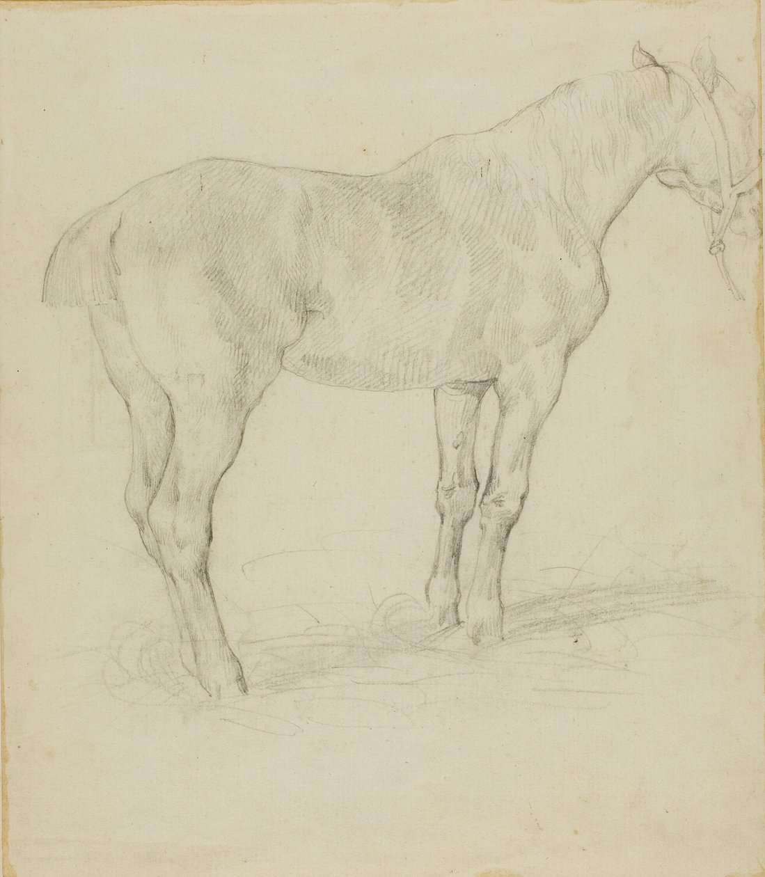 Stående häst av Jean Louis André Théodore Géricault