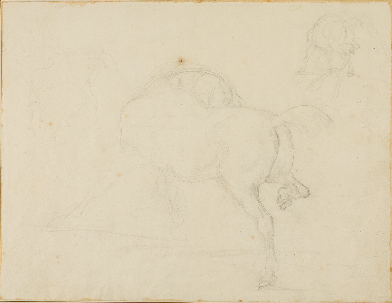 Studie av en häst som vrider på huvudet och lyfter bakbenet av Jean Louis André Théodore Géricault
