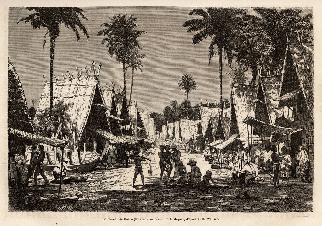 Marsch av Dobbo, på Arou Island, ett hamncentrum, animerat av många köpmän och skeppsbyggen, graverad efter teckningen av J. Moynet, som illustrerar resan till den malaysiska skärgården 1854-1862, av Alfred Russell Wallace (1823-1913) ), en brittisk av Jean Pierre Moynet