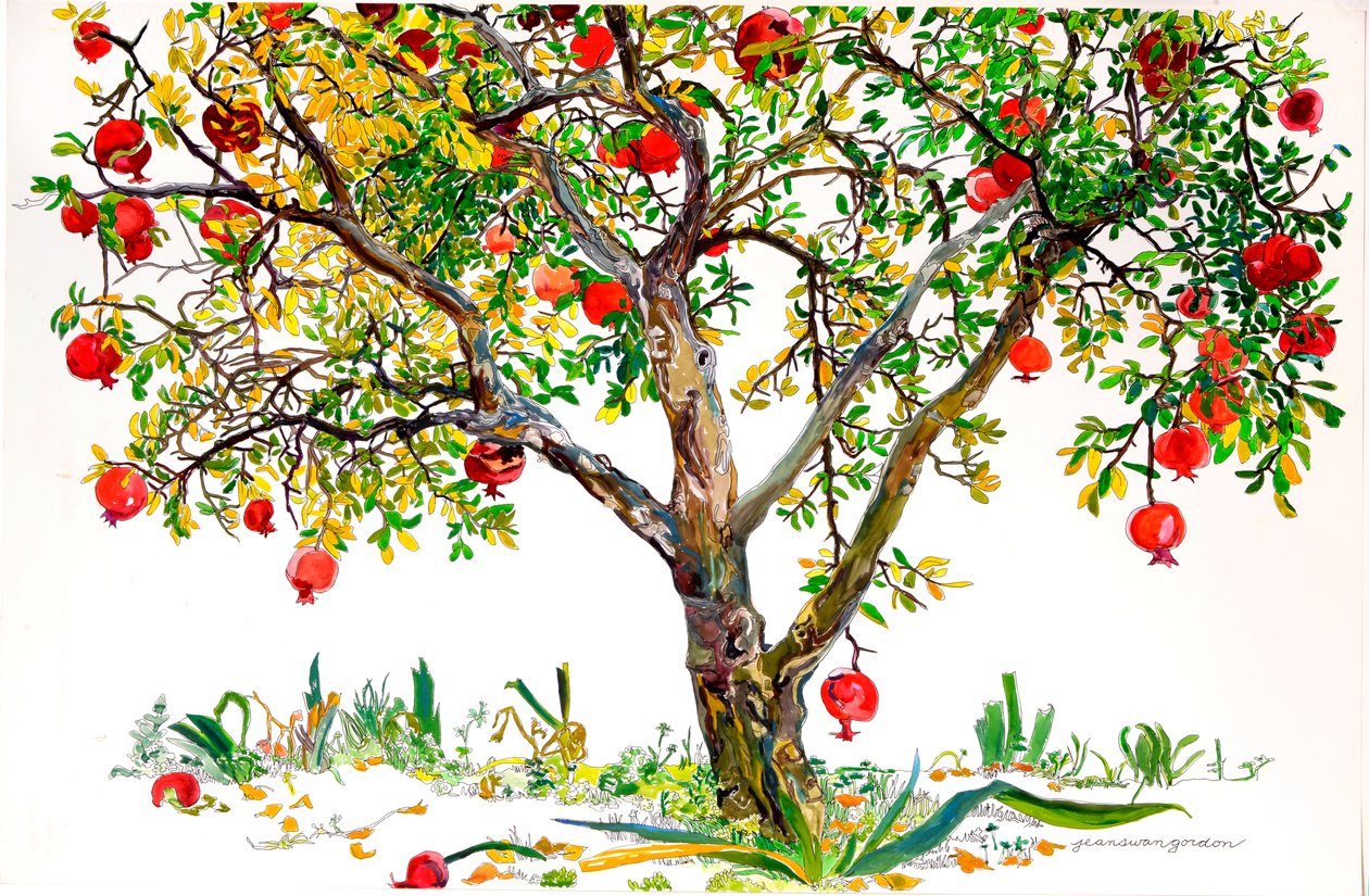 Pomegranate Tree, Monte Sereno (akvarell  tusch på papper) av Jean Swan Gordon