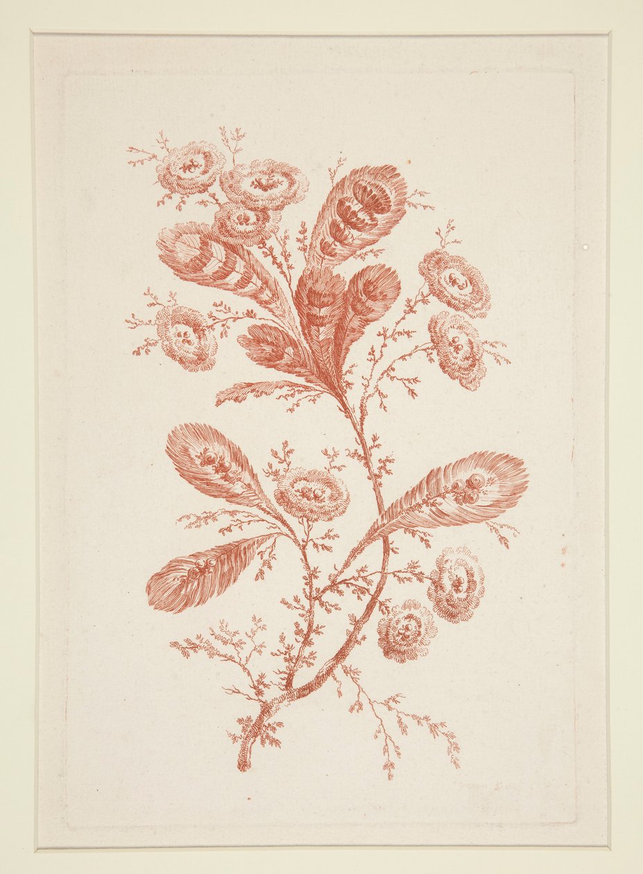 Utan titel (Ideala blommor), från en uppsättning om sex av Jeanne Deny