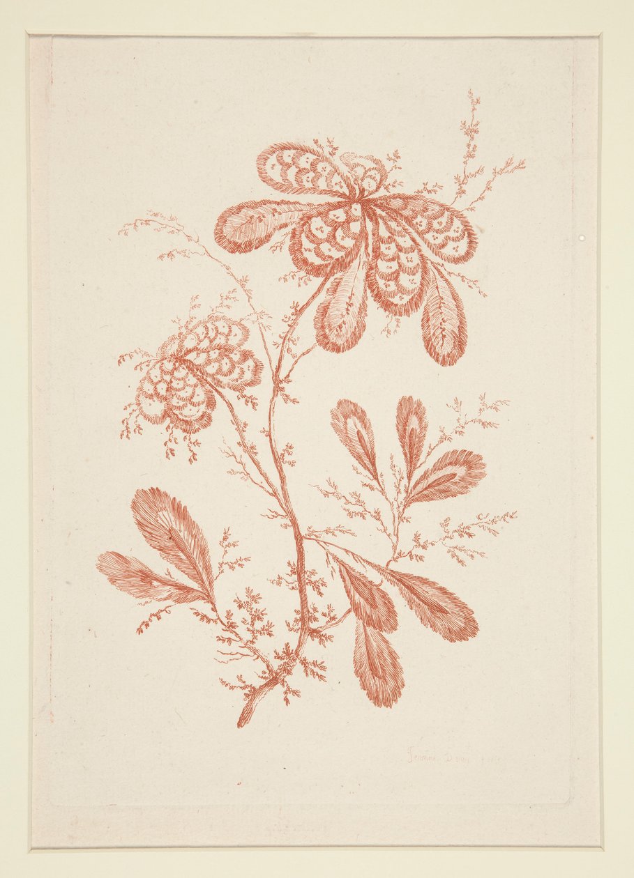 Utan titel (Ideala blommor), från en uppsättning om sex av Jeanne Deny
