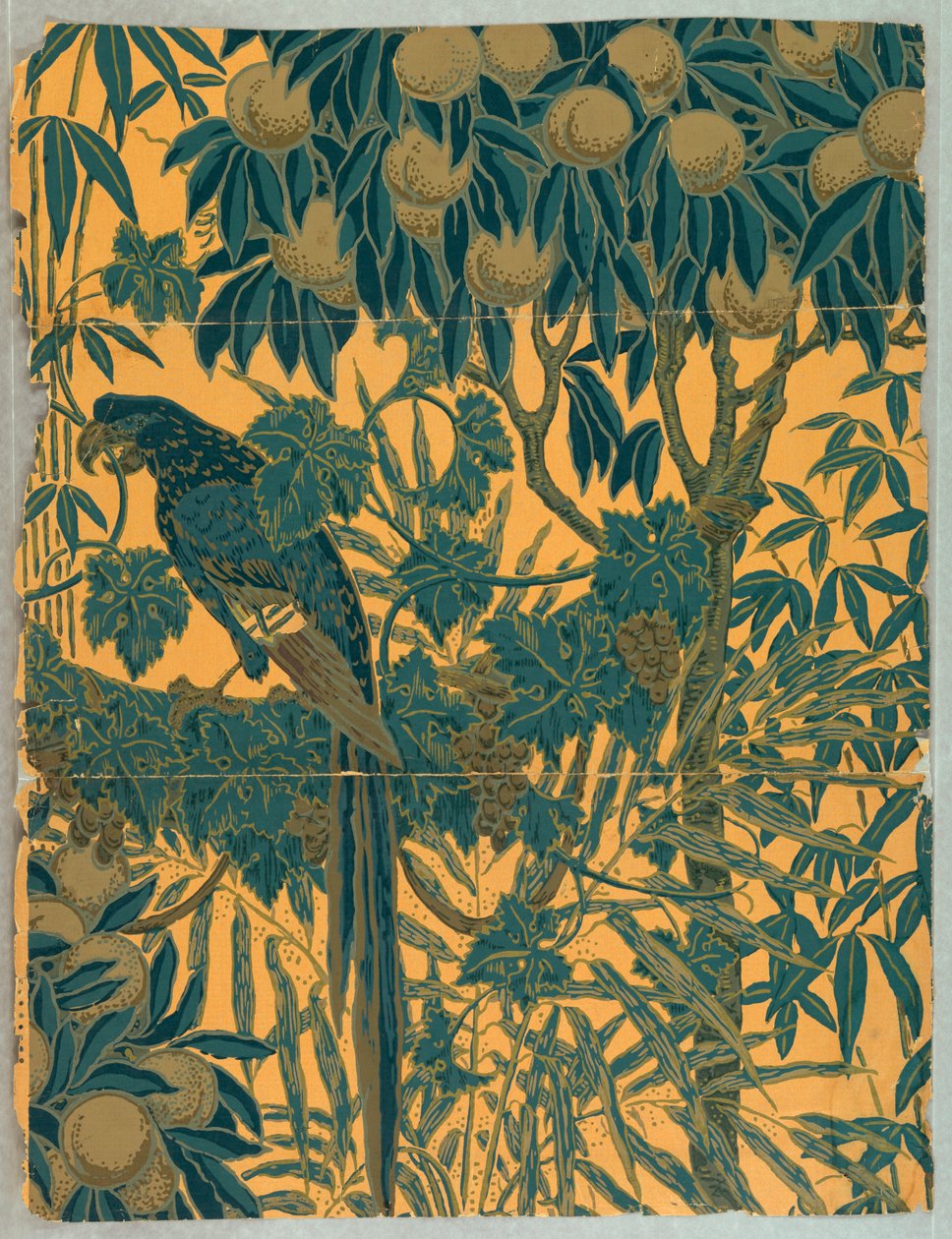 Sidovägg, ara, 1908 av Jeffrey