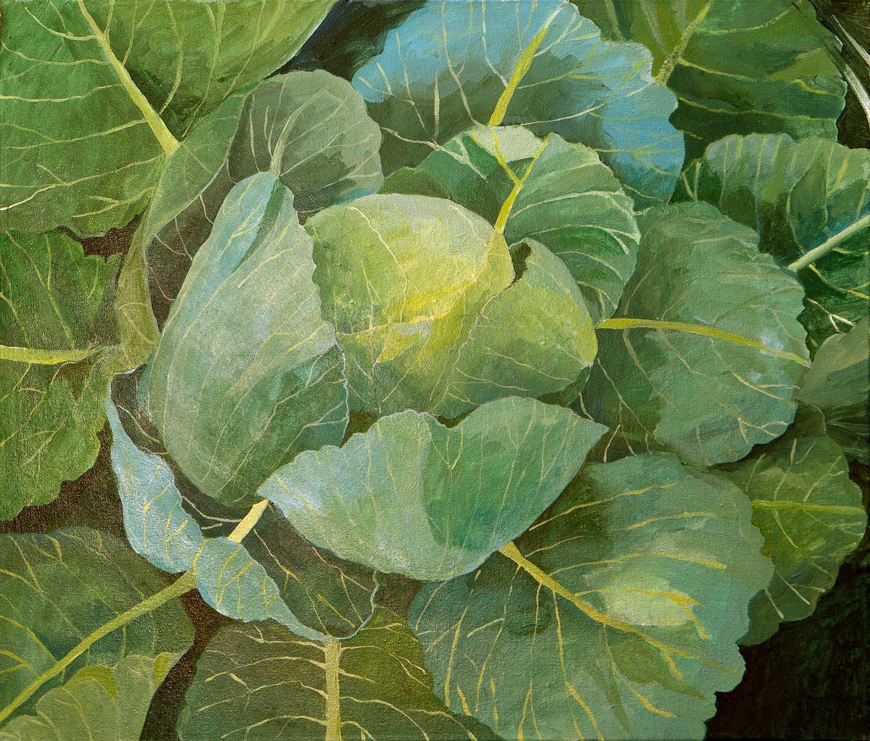 Cabbage (blue), 2014 (akryl på duk) av Jennifer Abbott