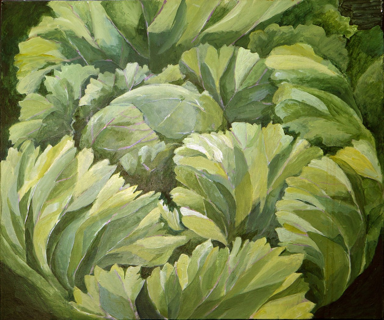 Cabbage, 2013 (akryl på duk) av Jennifer Abbott