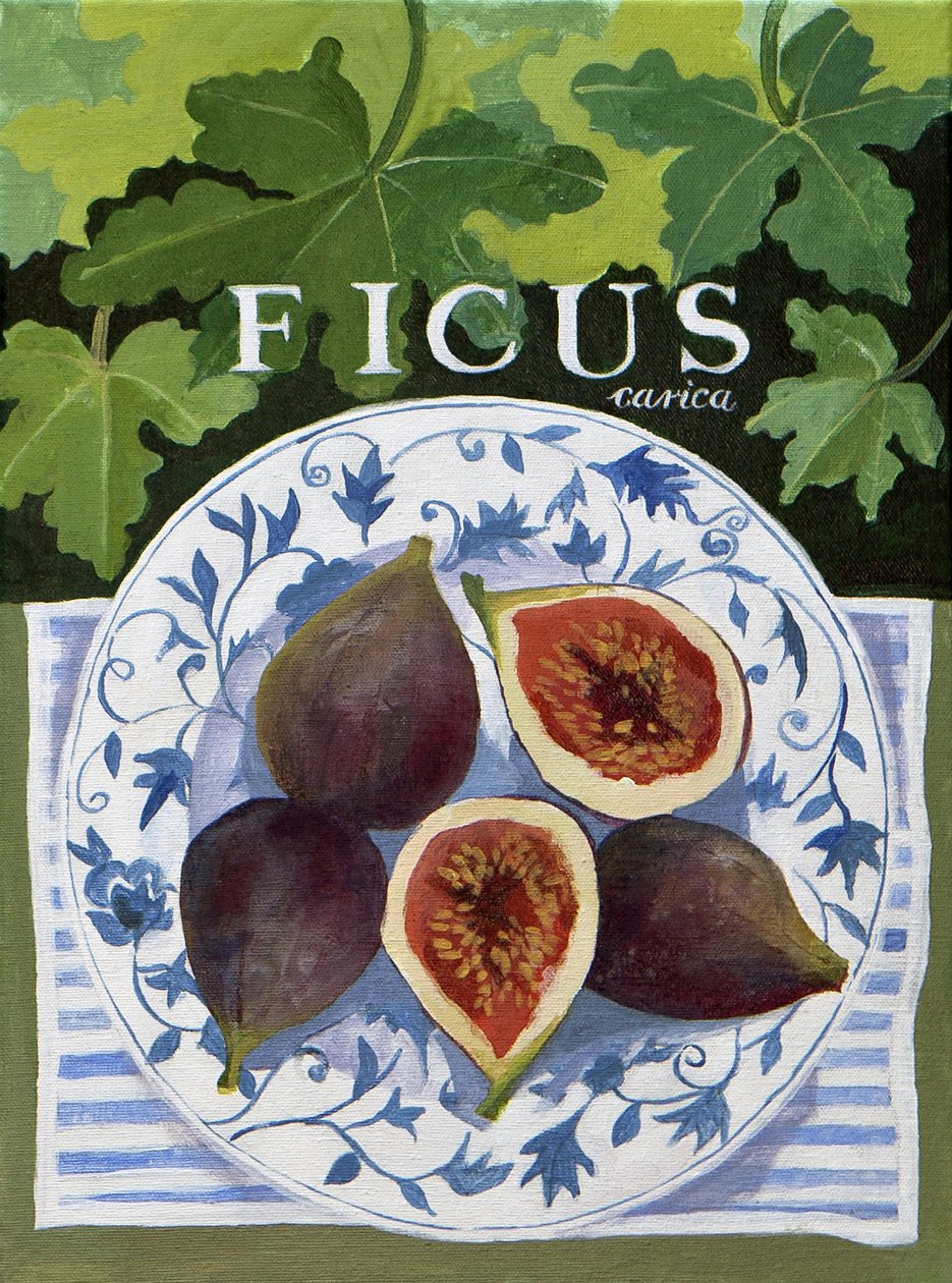 Fieus (figs), 2014 (akryl på duk) av Jennifer Abbott