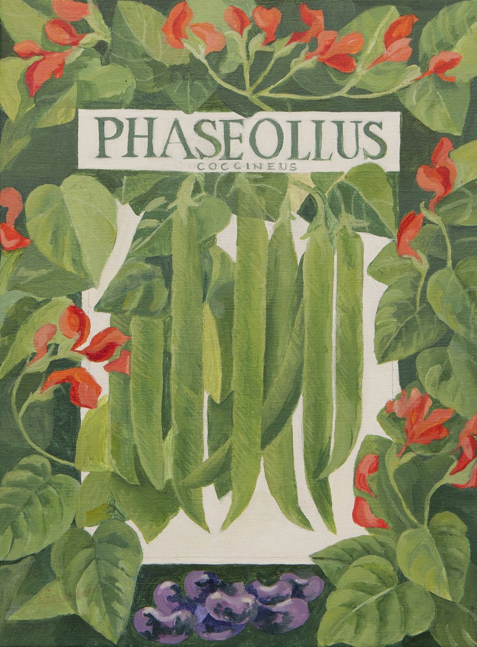 Phaseollus (bondbönor) (akryl) av Jennifer Abbott